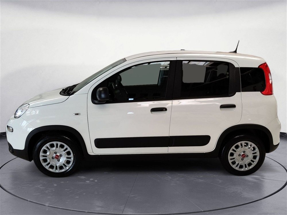 Fiat Panda 1.0 GSE S&S Hybrid Easy Van 4 posti nuova a Pordenone (2)