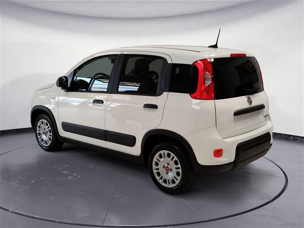 Fiat Panda 1.0 GSE S&S Hybrid Easy Van 4 posti nuova a Pordenone (3)