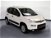 Fiat Panda 1.0 GSE S&S Hybrid Easy Van 4 posti nuova a Pordenone (7)