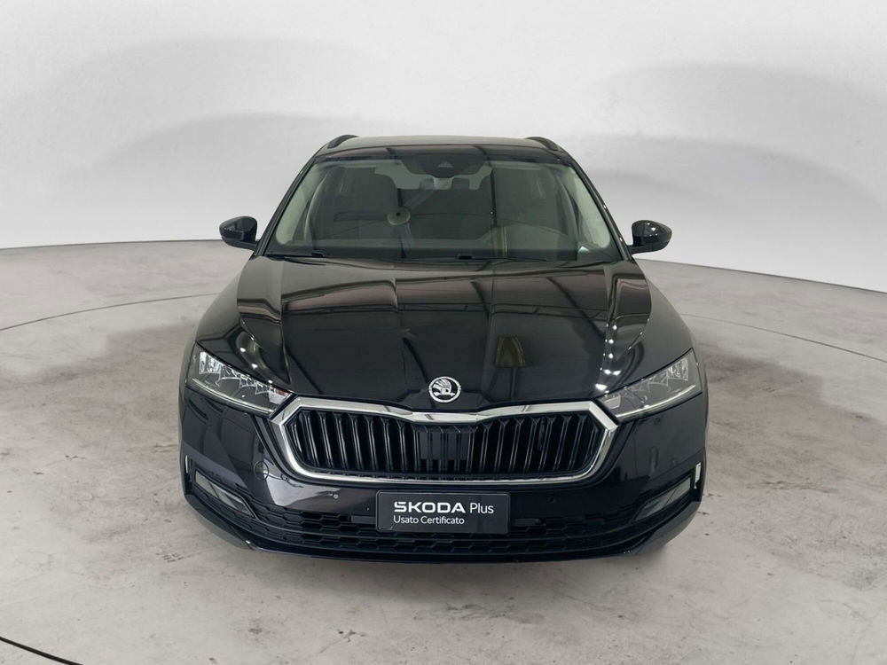 Skoda Octavia Station Wagon usata a Massa-Carrara (8)