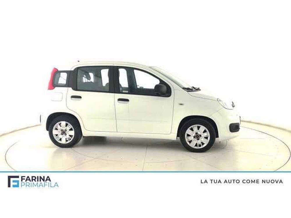 Fiat Panda usata a Napoli (3)