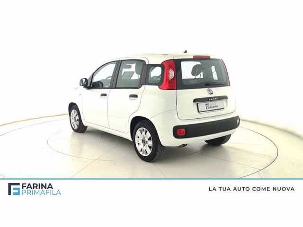 Fiat Panda usata a Napoli (5)