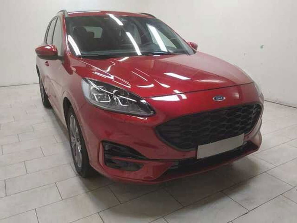 Ford Kuga usata a Cuneo (3)