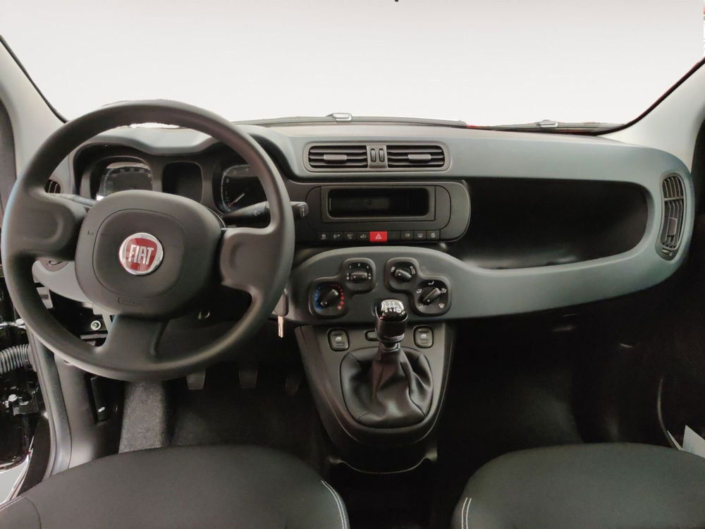 Fiat Panda Cross nuova a Pordenone (10)