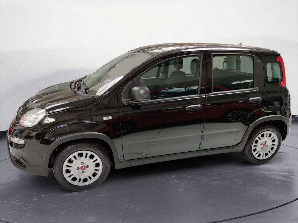 Fiat Panda 1.0 FireFly S&S Hybrid City Cross  nuova a Pordenone (2)
