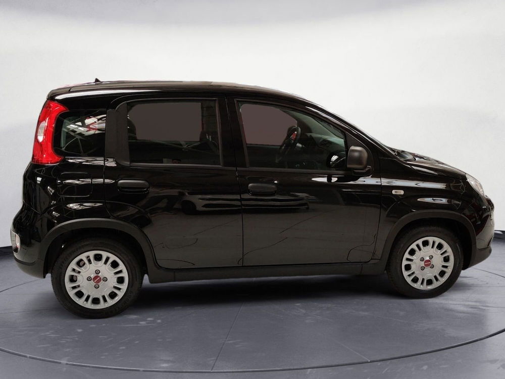 Fiat Panda Cross nuova a Pordenone (6)