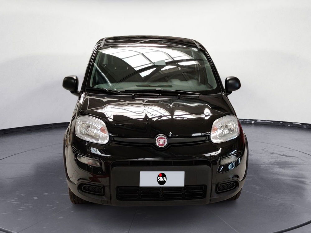 Fiat Panda Cross nuova a Pordenone (8)