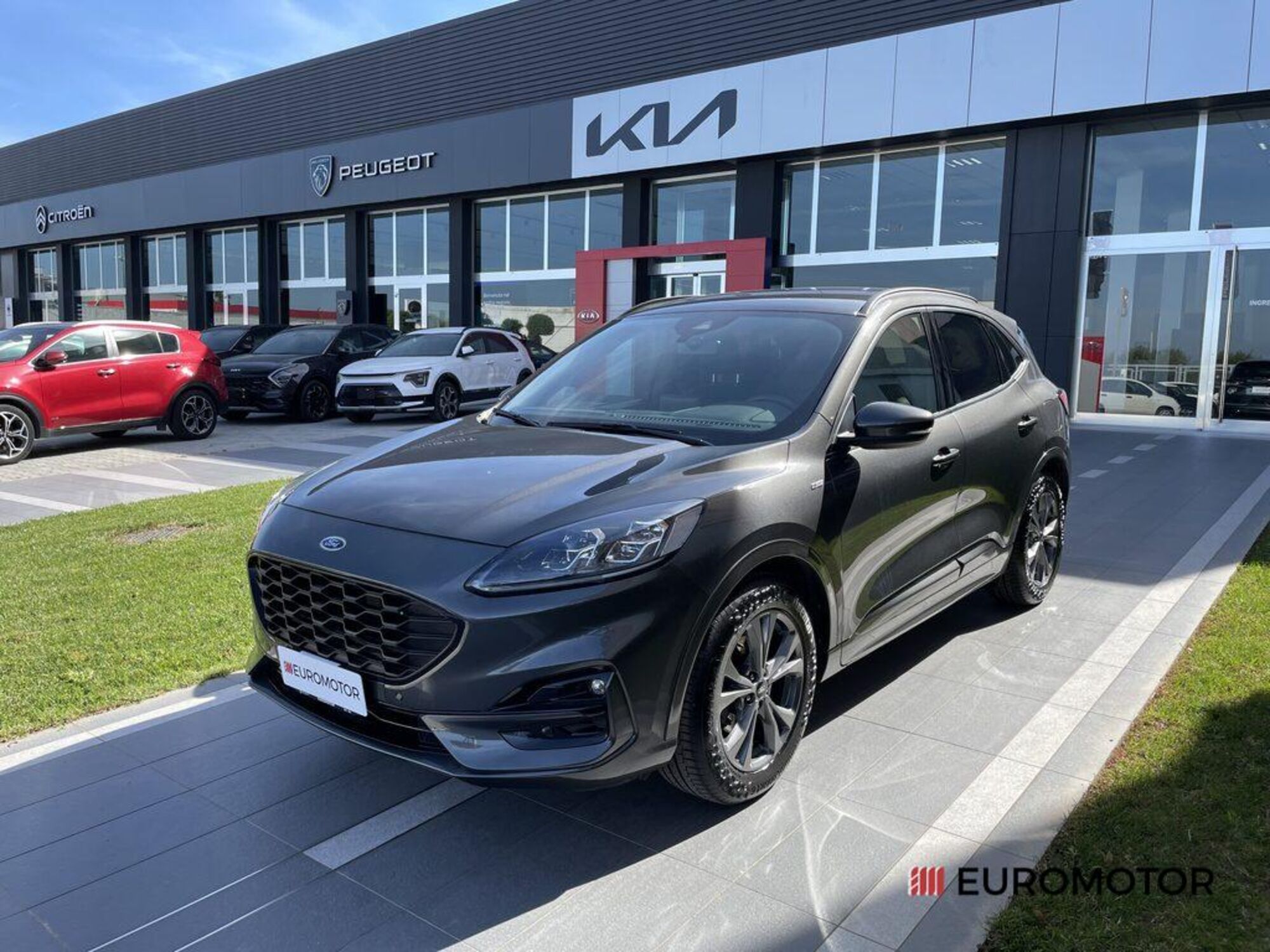 Ford Kuga 1.5 EcoBlue 120 CV 2WD ST-Line X  del 2021 usata a Modugno