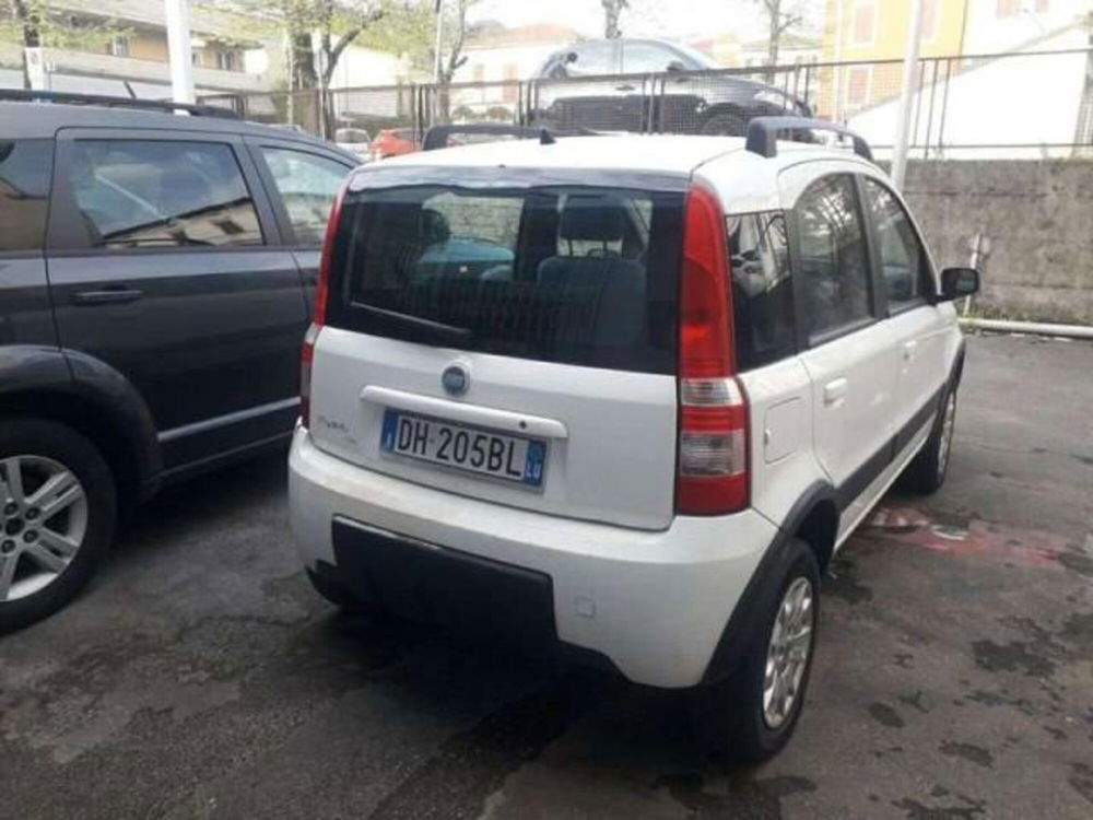 Fiat Panda usata a Lucca (4)