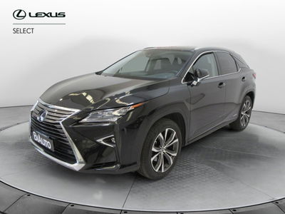 Lexus RX Hybrid Executive del 2019 usata a Sesto Fiorentino