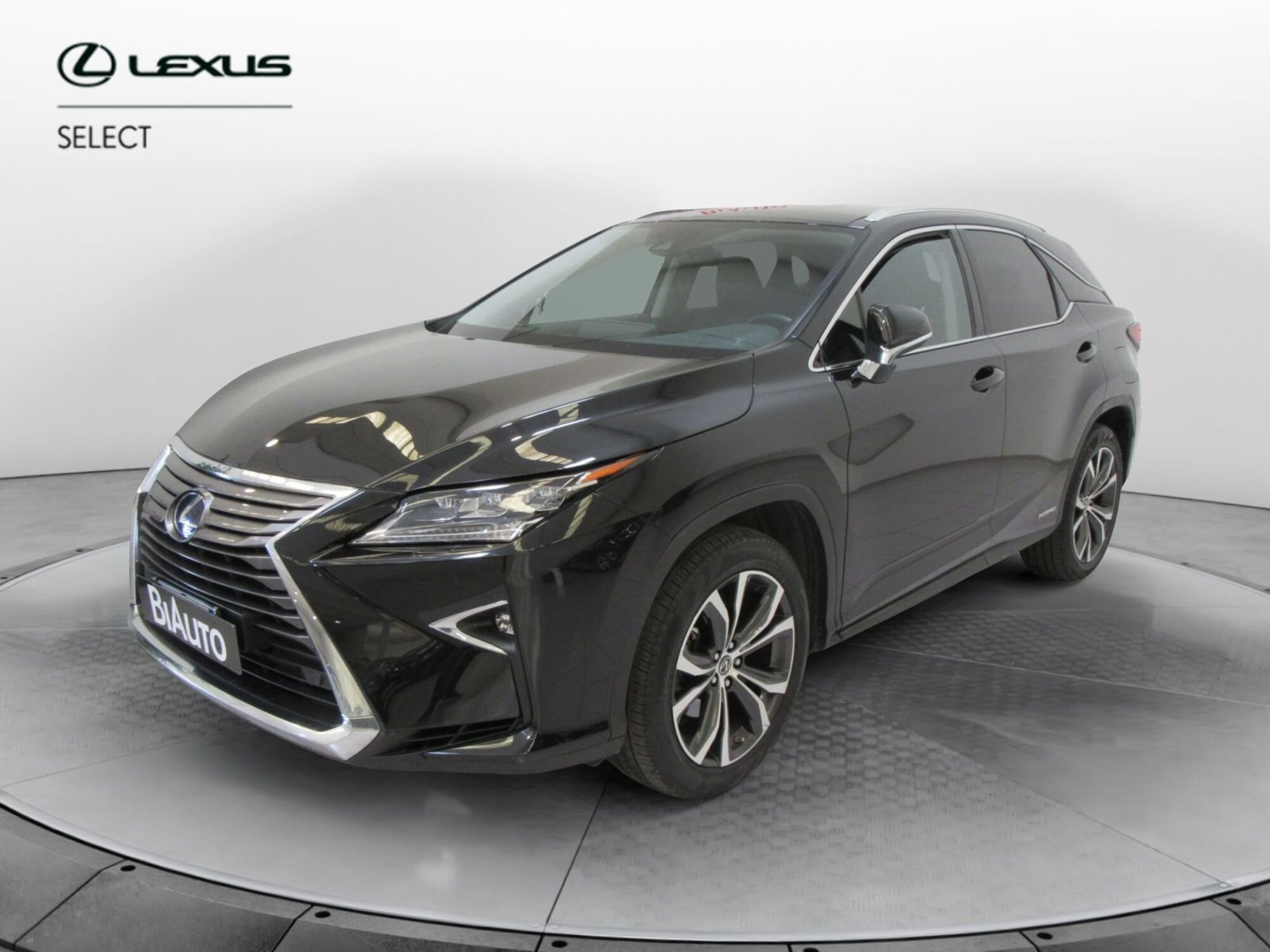 Lexus RX Hybrid Executive  del 2019 usata a Sesto Fiorentino