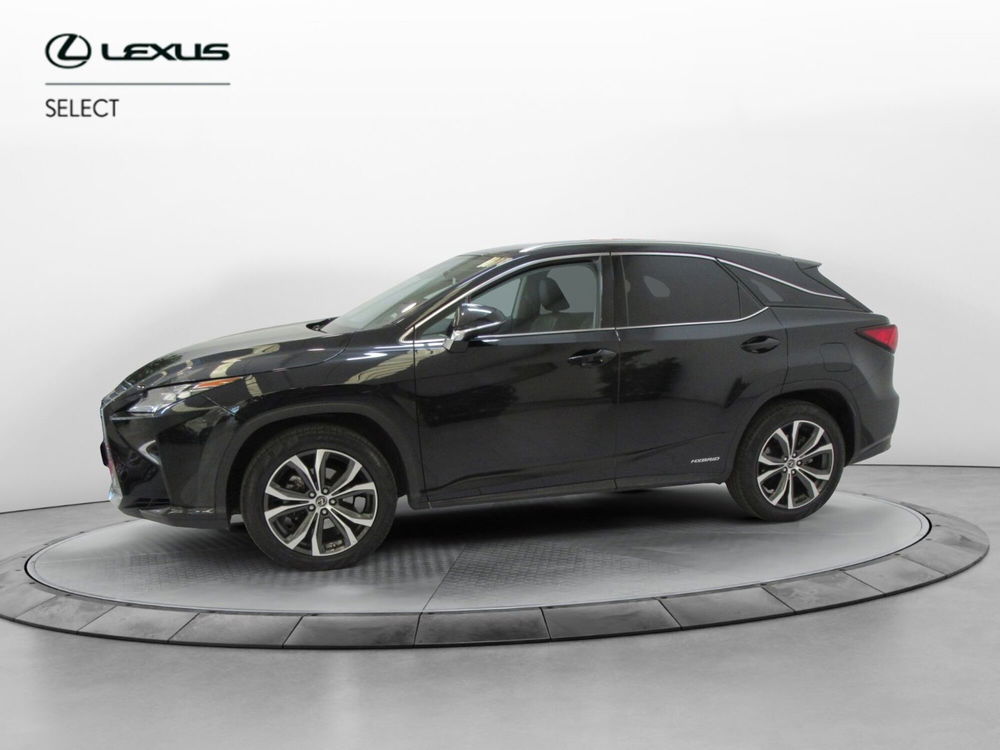 Lexus RX Hybrid Executive del 2019 usata a Sesto Fiorentino (2)