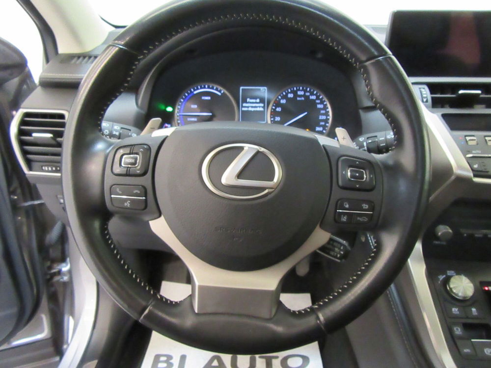 Lexus NX usata a Firenze (11)