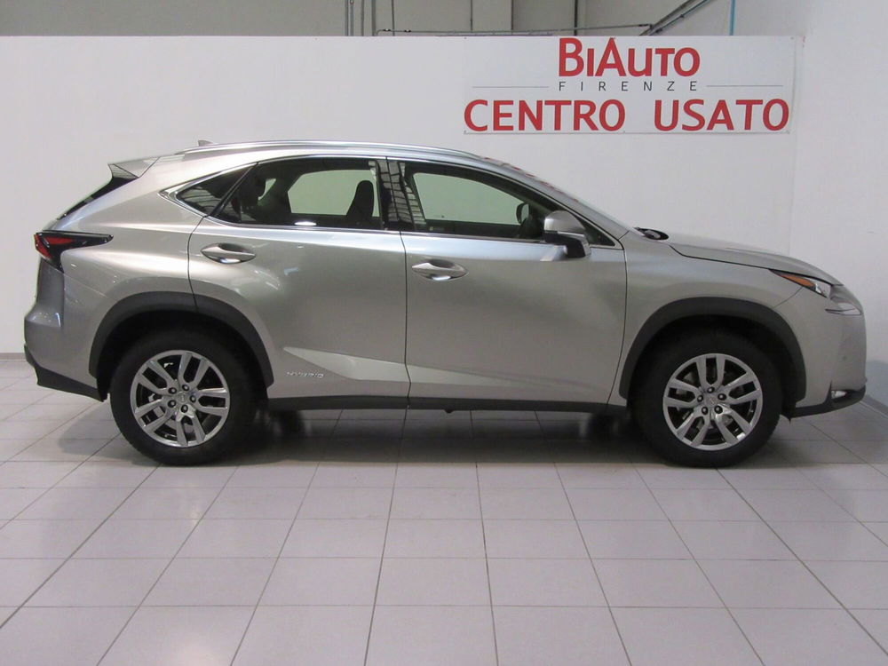 Lexus NX usata a Firenze (19)