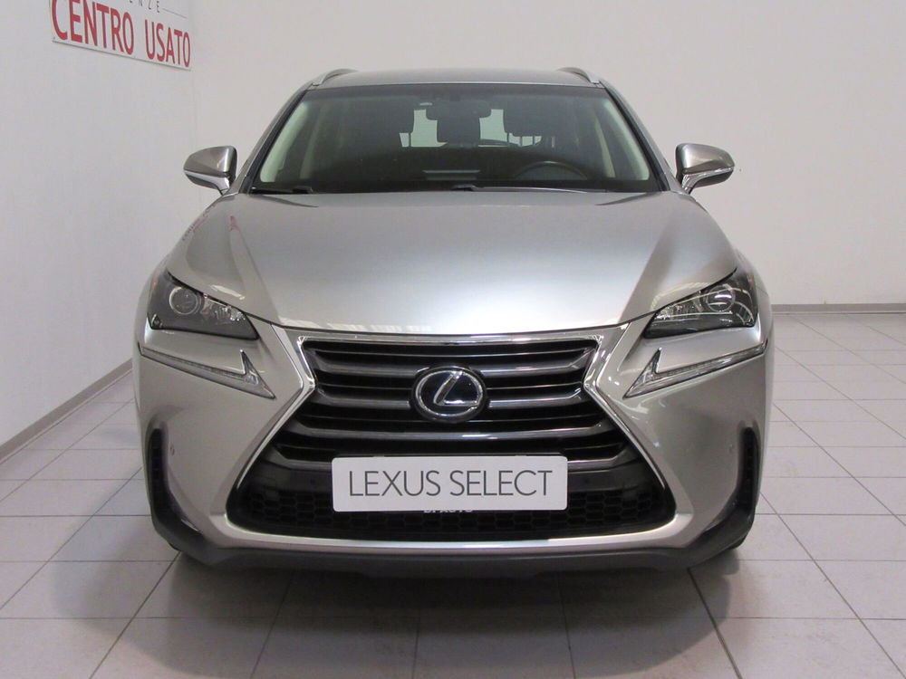 Lexus NX usata a Firenze (4)