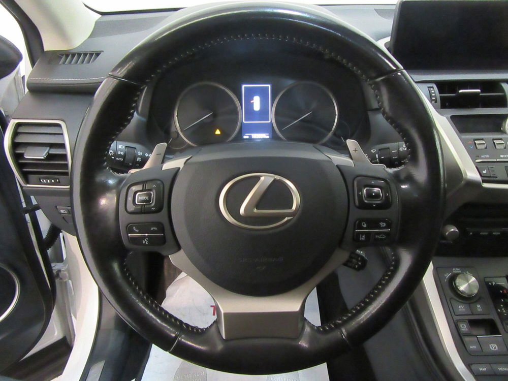 Lexus NX usata a Firenze (10)