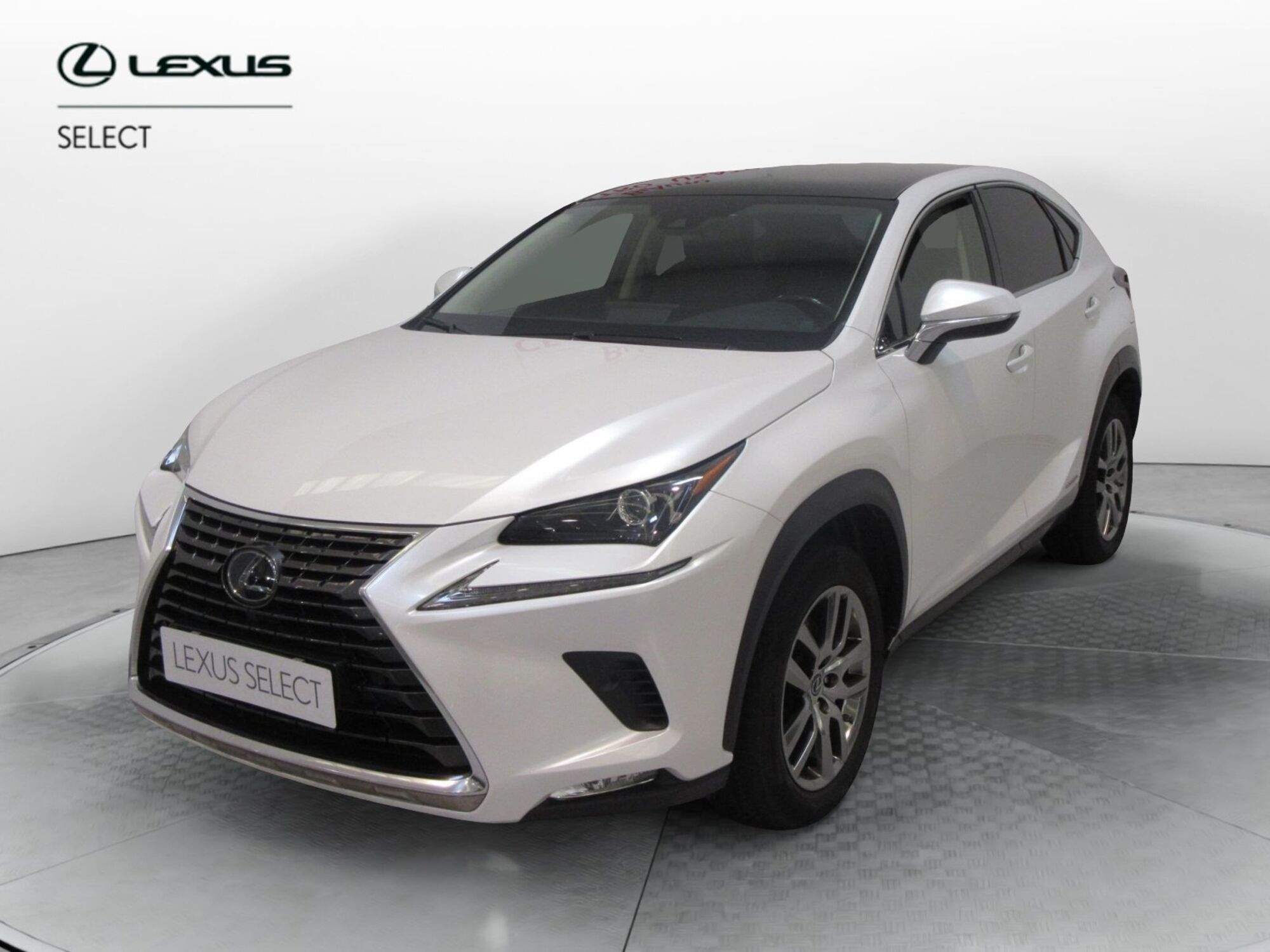 Lexus NX Hybrid 4WD Premium del 2020 usata a Sesto Fiorentino