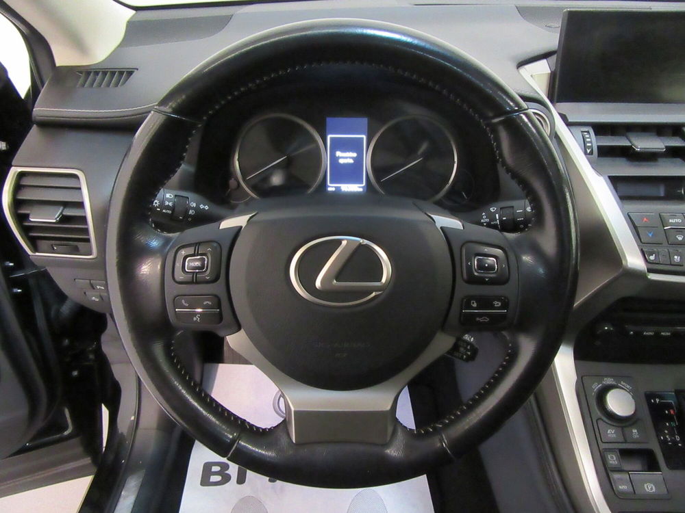 Lexus NX usata a Firenze (12)