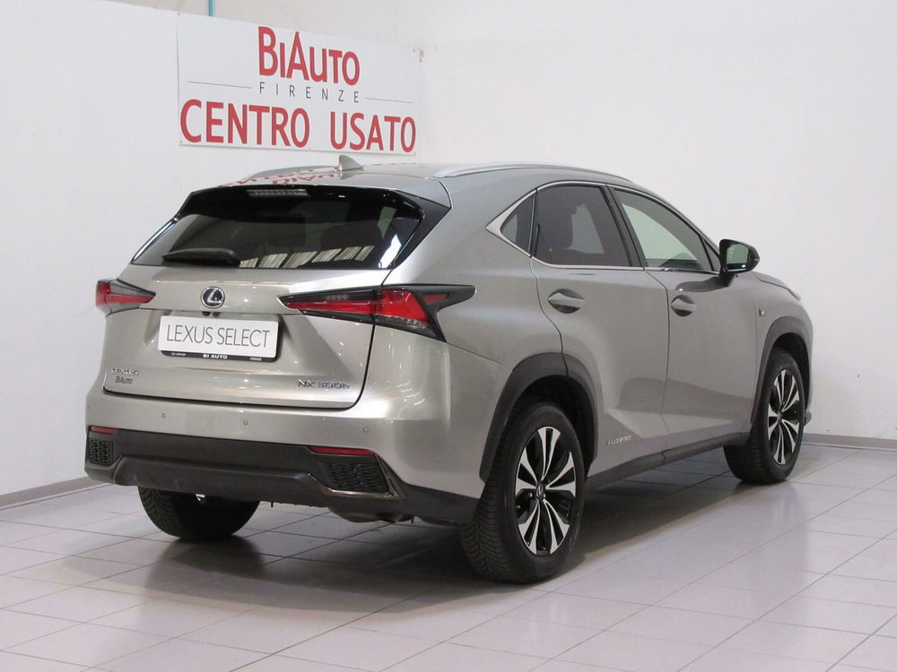 Lexus NX usata a Firenze (19)