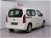 Toyota Proace City Verso City Verso 1.5D 100 CV S&S Short D Lounge  del 2021 usata a Sesto Fiorentino (17)