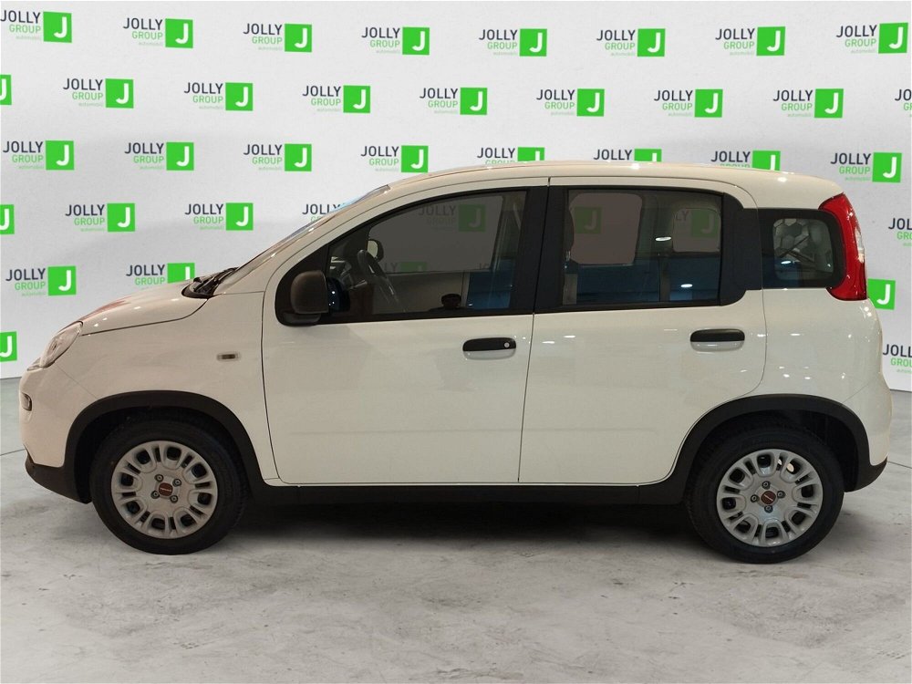 Fiat Panda 1.0 FireFly S&S Hybrid Easy nuova a Ceccano (3)