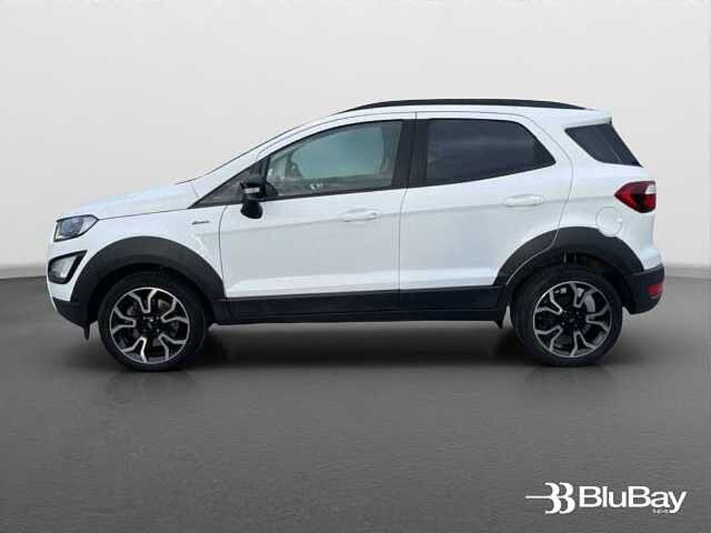 Ford EcoSport usata a Livorno (10)