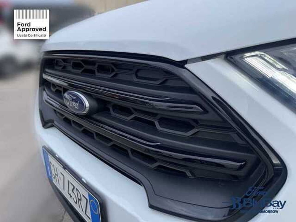 Ford EcoSport usata a Livorno (15)