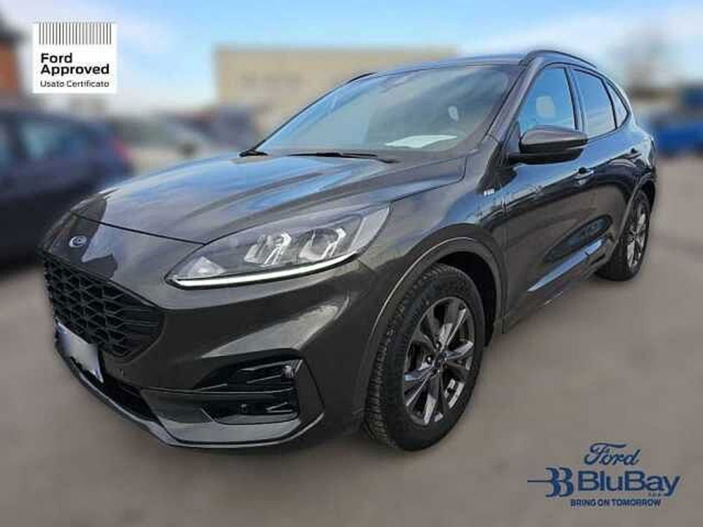 Ford Kuga usata a Livorno