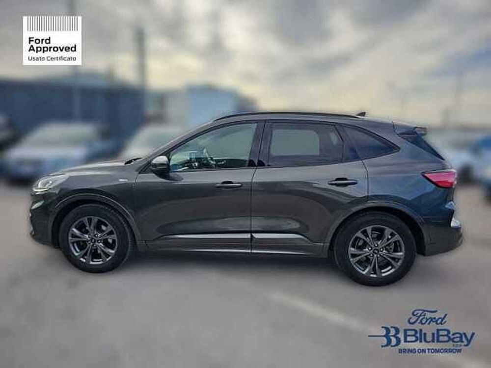 Ford Kuga usata a Livorno (10)