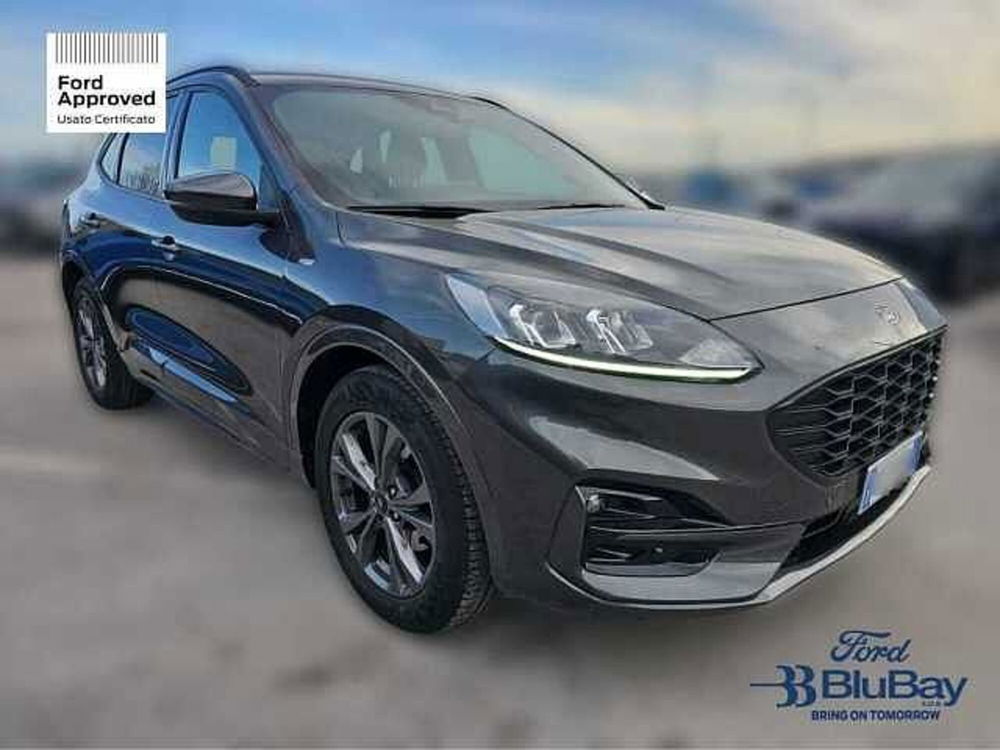 Ford Kuga usata a Livorno (3)