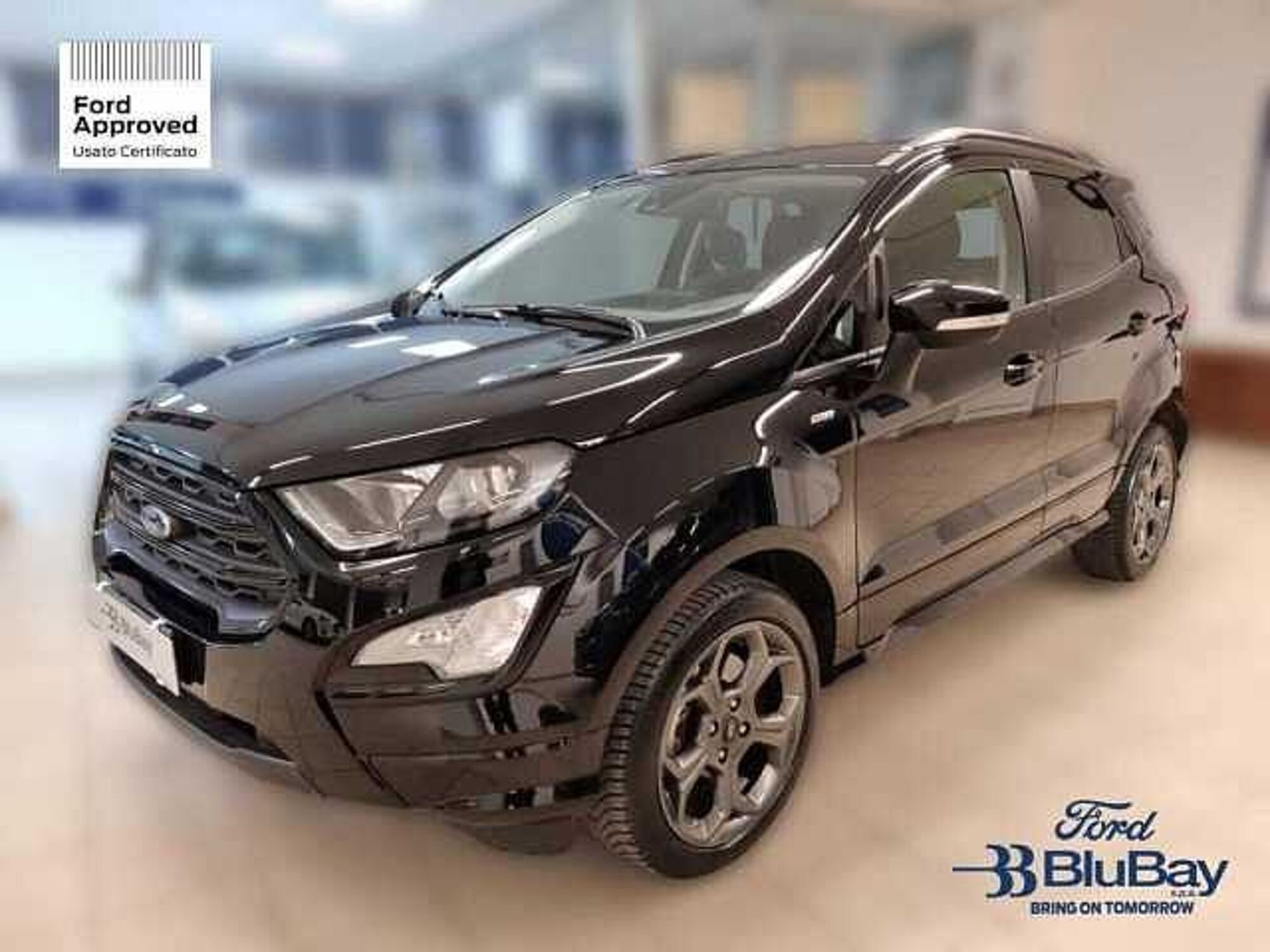 Ford EcoSport 1.0 EcoBoost 125 CV Start&amp;Stop ST-Line Design del 2021 usata a Livorno