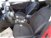 Ford Focus Station Wagon 1.5 EcoBlue 120 CV SW Business  del 2021 usata a Castelfranco Veneto (9)