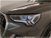 Audi Q3 35 2.0 tdi Business s-tronic del 2023 usata a Pratola Serra (10)