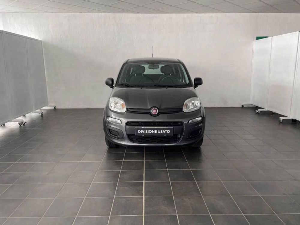 Fiat Panda 1.2 Lounge  del 2018 usata a Torino (5)