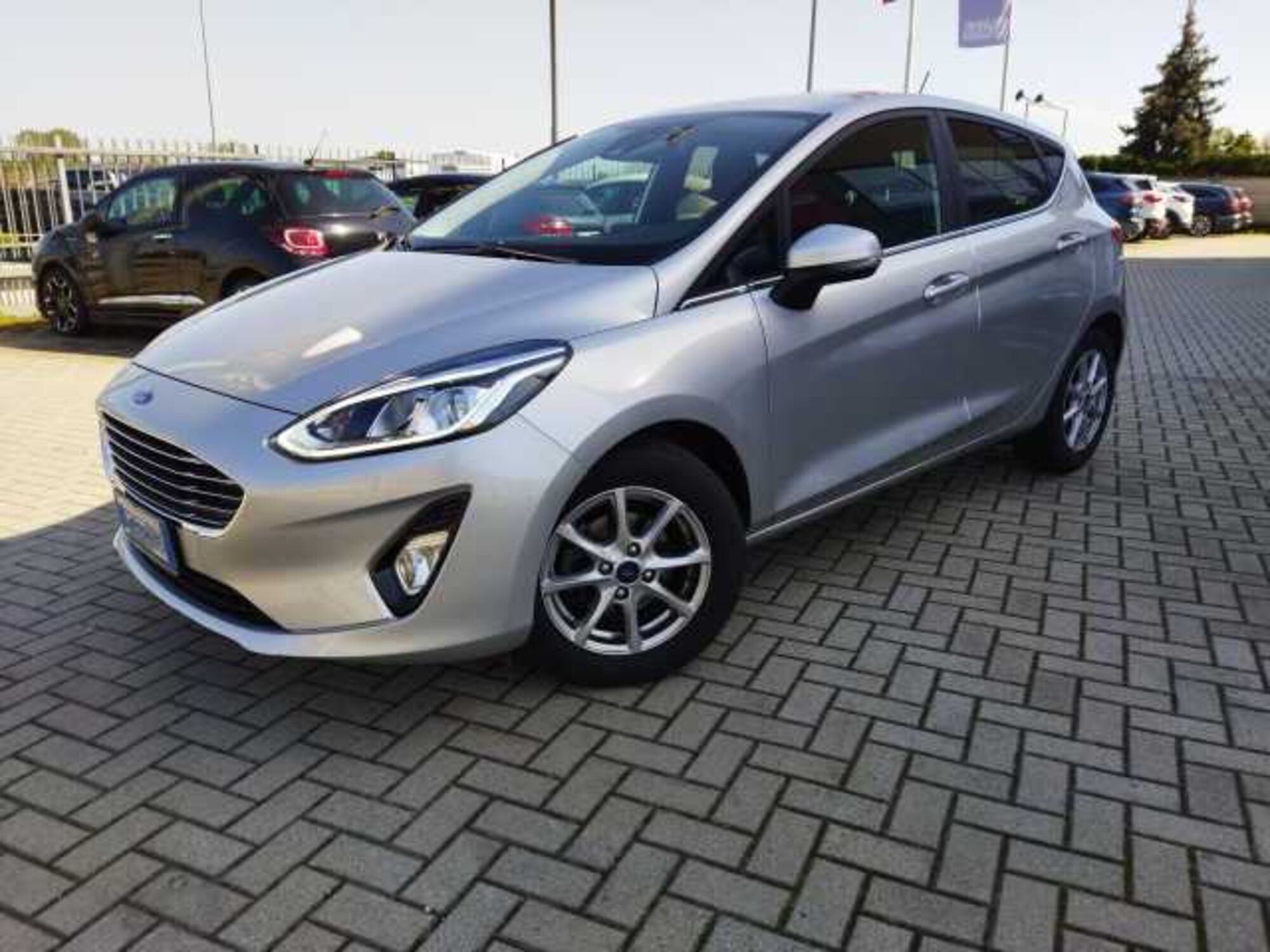 Ford Fiesta 1.5 EcoBlue 5 porte Titanium  del 2020 usata a Airasca