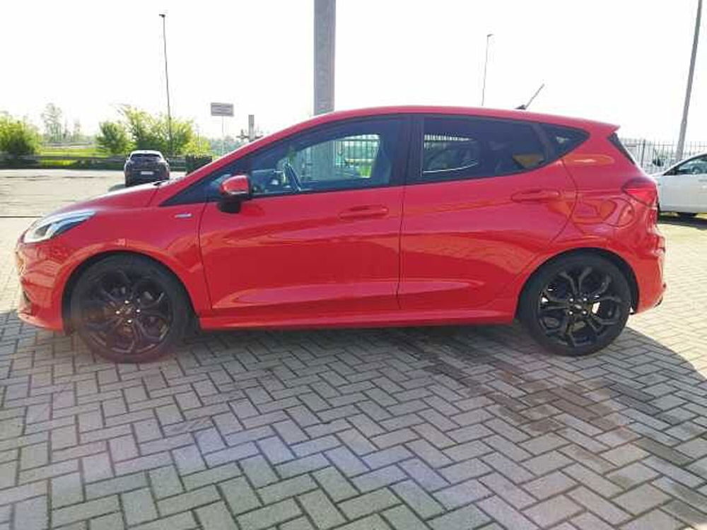 Ford Fiesta usata a Torino (3)