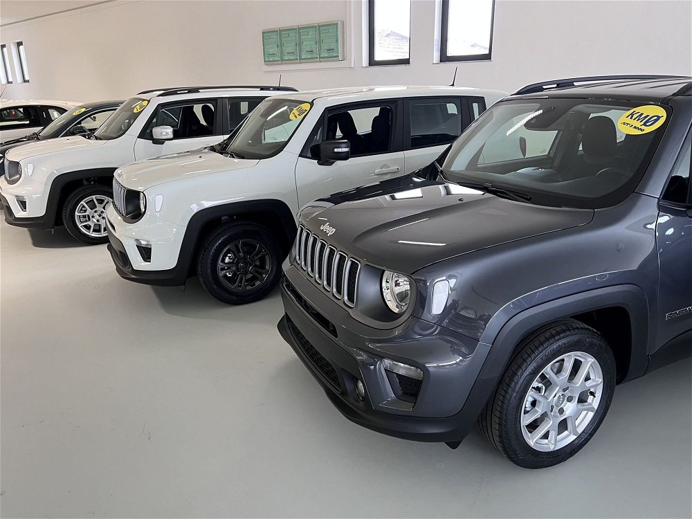 Jeep Renegade 1.3 T4 190CV PHEV 4xe AT6 Limited  nuova a Ponsacco (3)