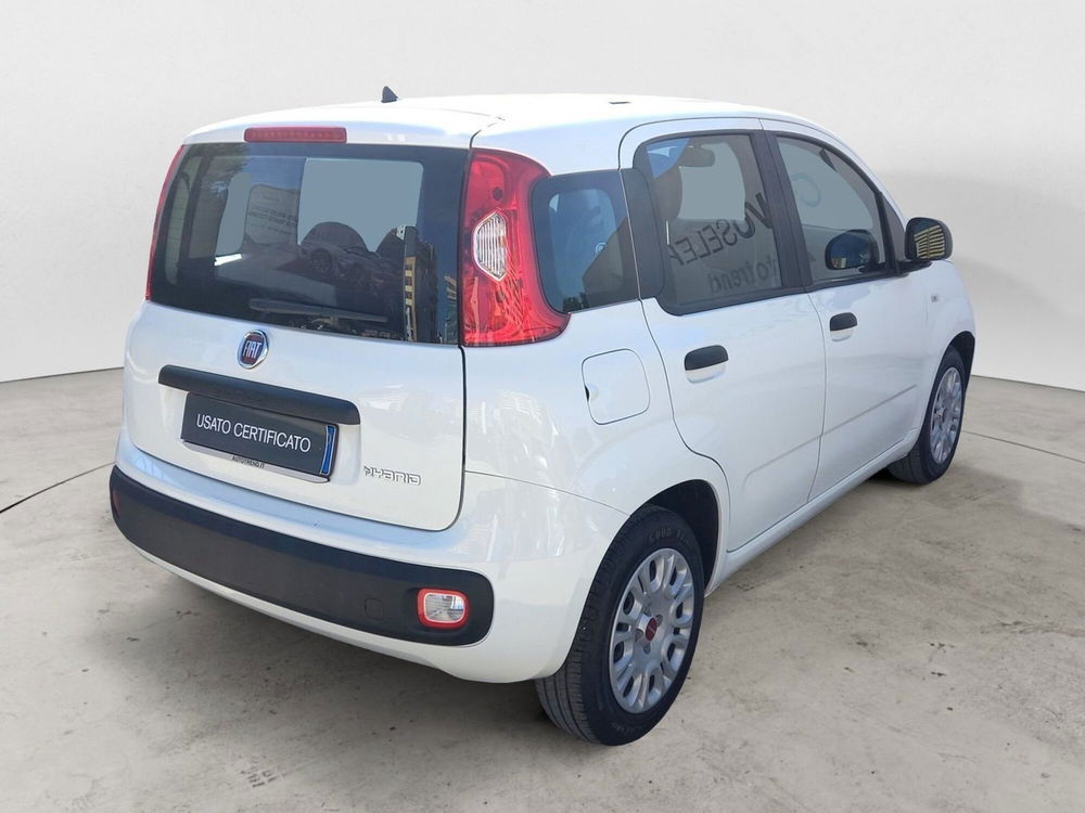 Fiat Panda usata a Bari (2)