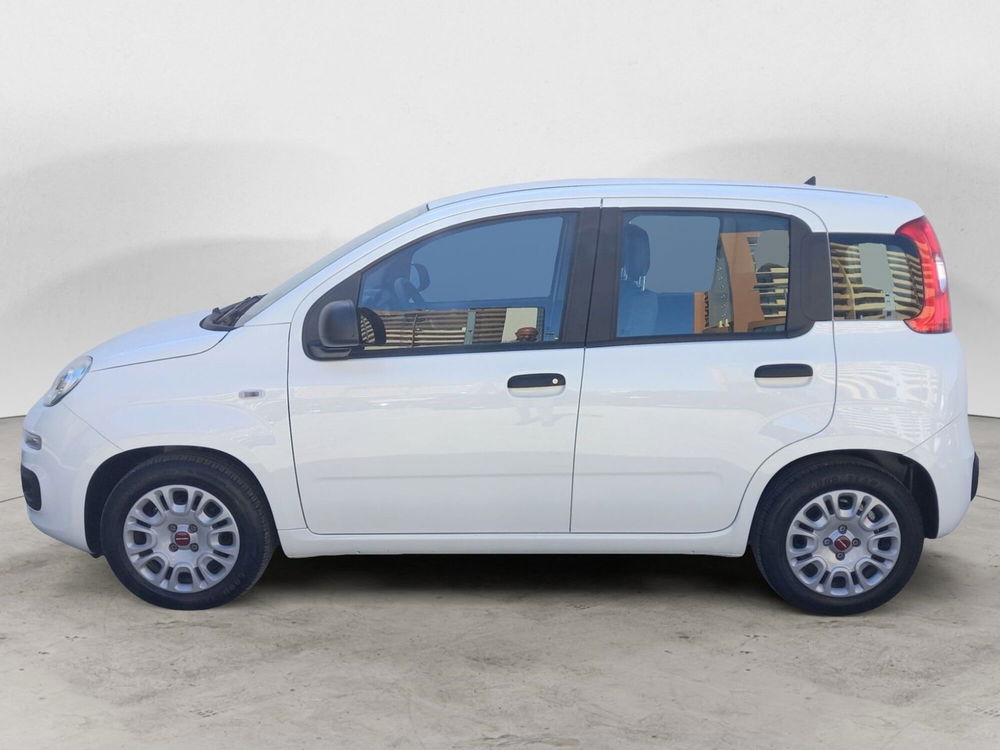 Fiat Panda usata a Bari (5)