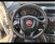 Fiat Fiorino 1.3 MJT 80CV Cargo  del 2016 usata a Massarosa (10)