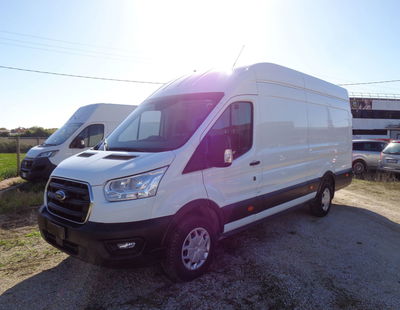 Ford Transit Furgone transit 350 tr.post. 2.0 tdci 170cv jumbo trend L4H3 E6.2 del 2021 usata a Castelfranco Veneto