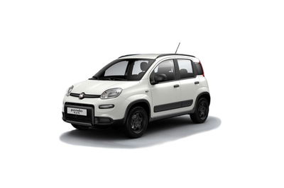 Fiat Panda 1.3 MJT 95 CV S&amp;S 4x4  del 2016 usata a Sora