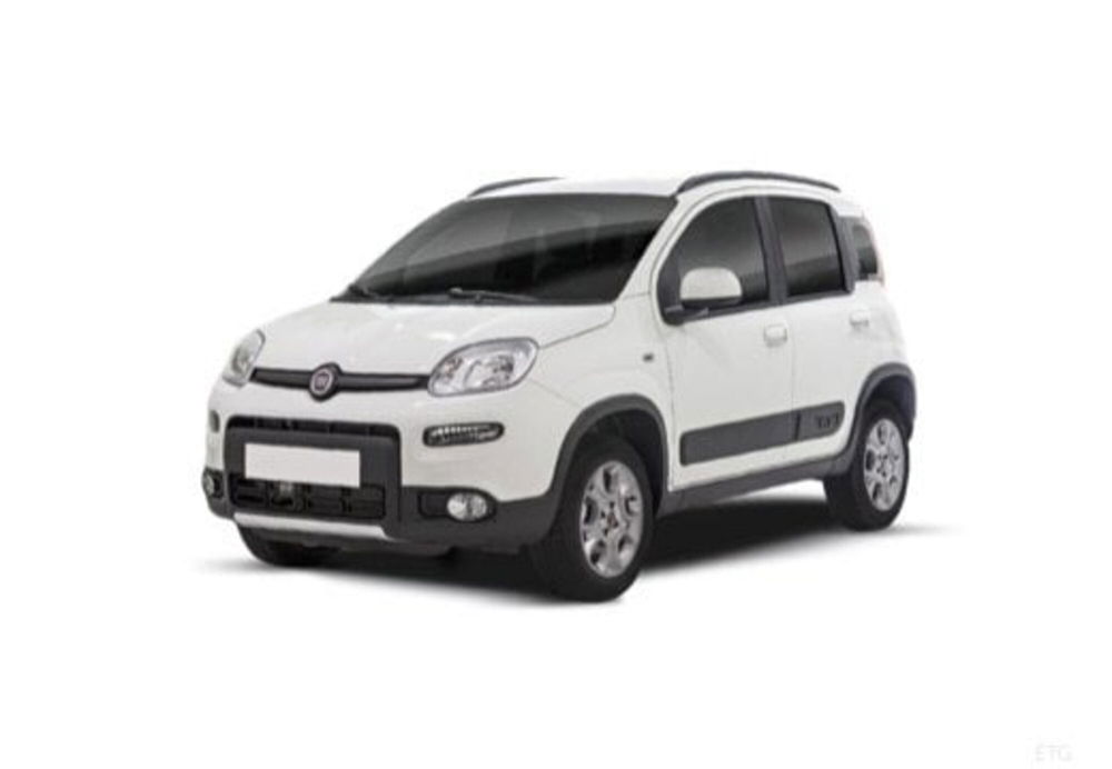 Fiat Panda usata a Frosinone (16)