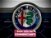 Alfa Romeo Stelvio Stelvio 2.2 Turbodiesel 180 CV AT8 RWD Business del 2018 usata a Ravenna (15)