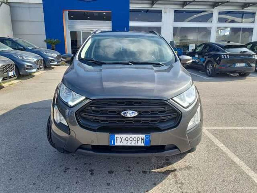 Ford EcoSport usata a Salerno (4)