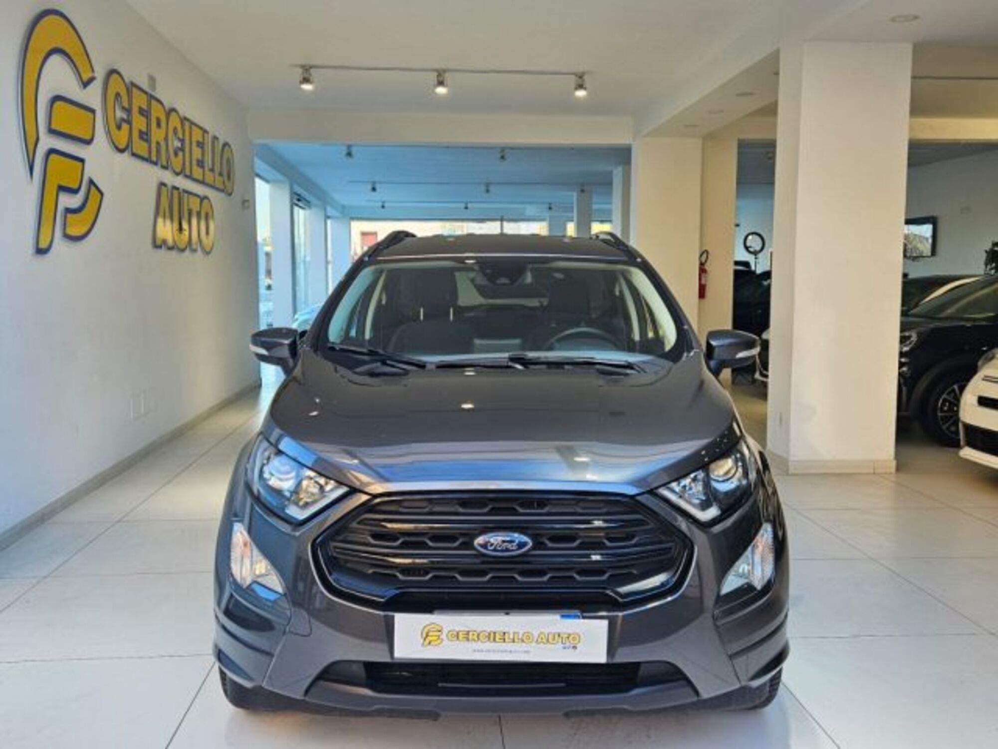 Ford EcoSport 1.0 EcoBoost 125 CV Start&amp;Stop ST-Line Black Edition  del 2020 usata a Somma Vesuviana