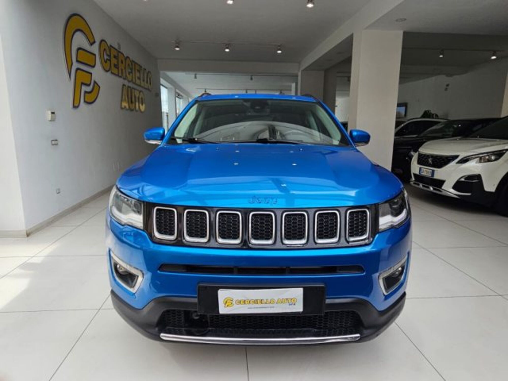 Jeep Compass 1.6 Multijet II 2WD Limited Winter del 2019 usata a Somma Vesuviana