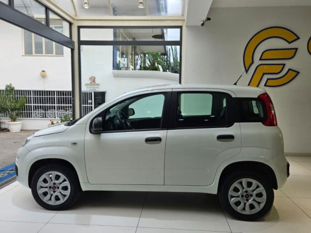 Fiat Panda usata a Napoli (3)