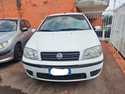 Fiat Punto 1.2 5 porte Active Natural Power del 2005 usata a Somma Vesuviana