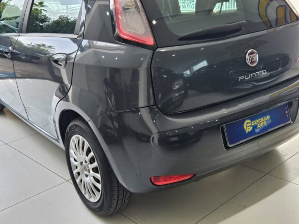 Fiat Punto 1.3 MJT II S&S 95 CV 5 porte Street  del 2014 usata a Somma Vesuviana (4)
